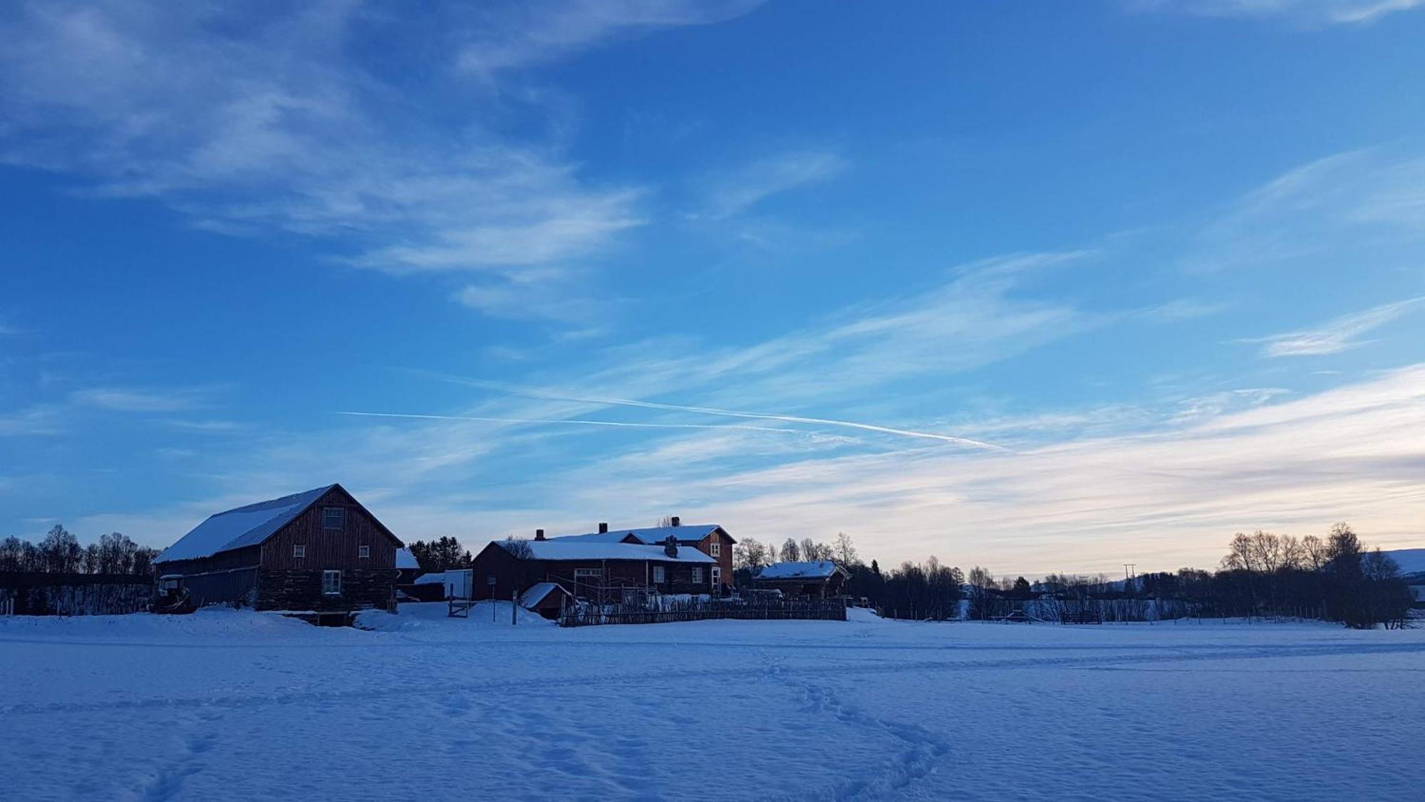 Escapade Norvegienne Lejlighed Tolga Eksteriør billede
