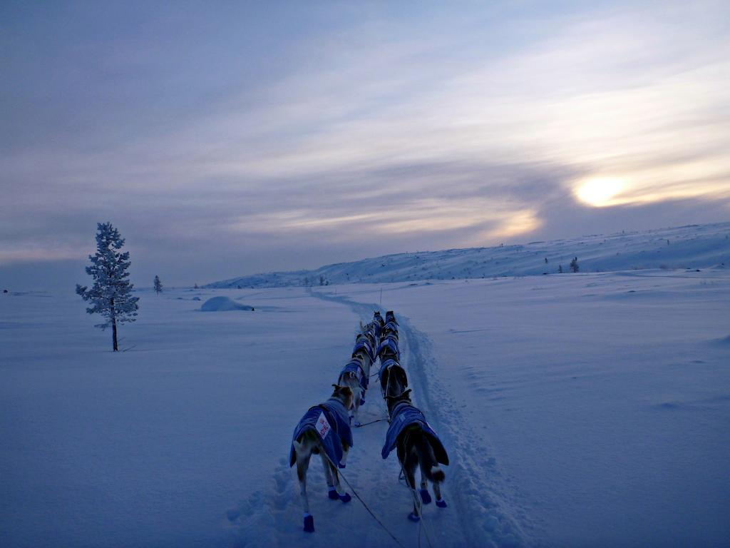 Escapade Norvegienne Lejlighed Tolga Eksteriør billede